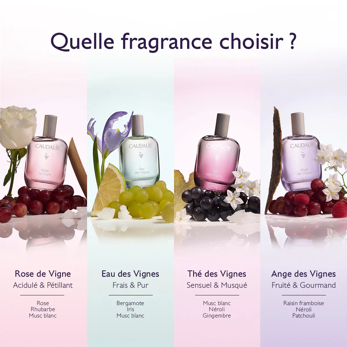 Eau Fraîche Eau des Vignes