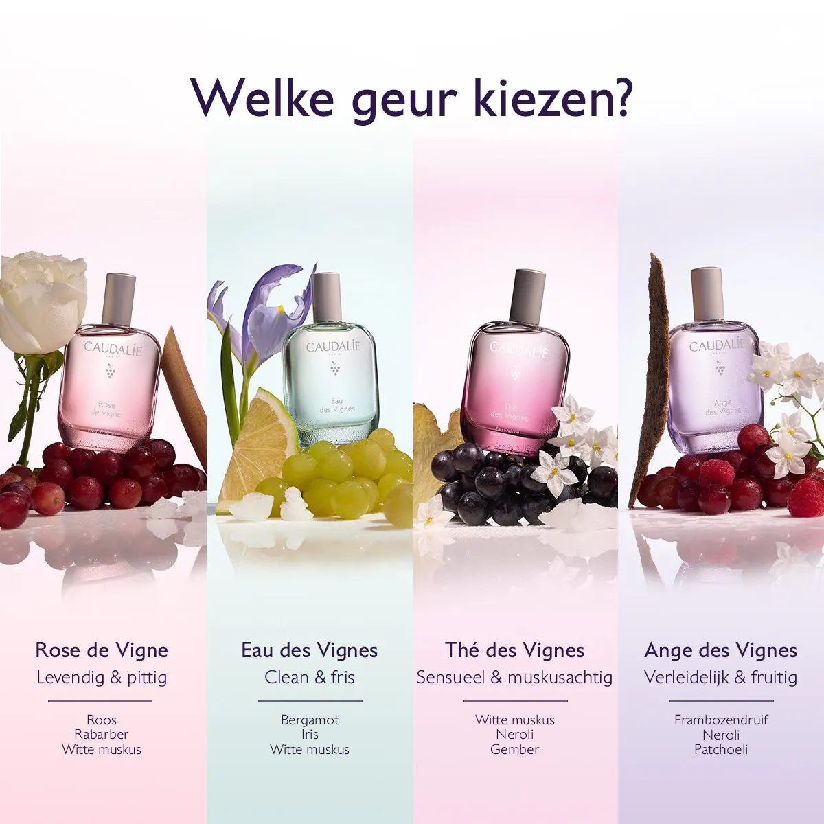 Eau de Parfum Ange des Vignes