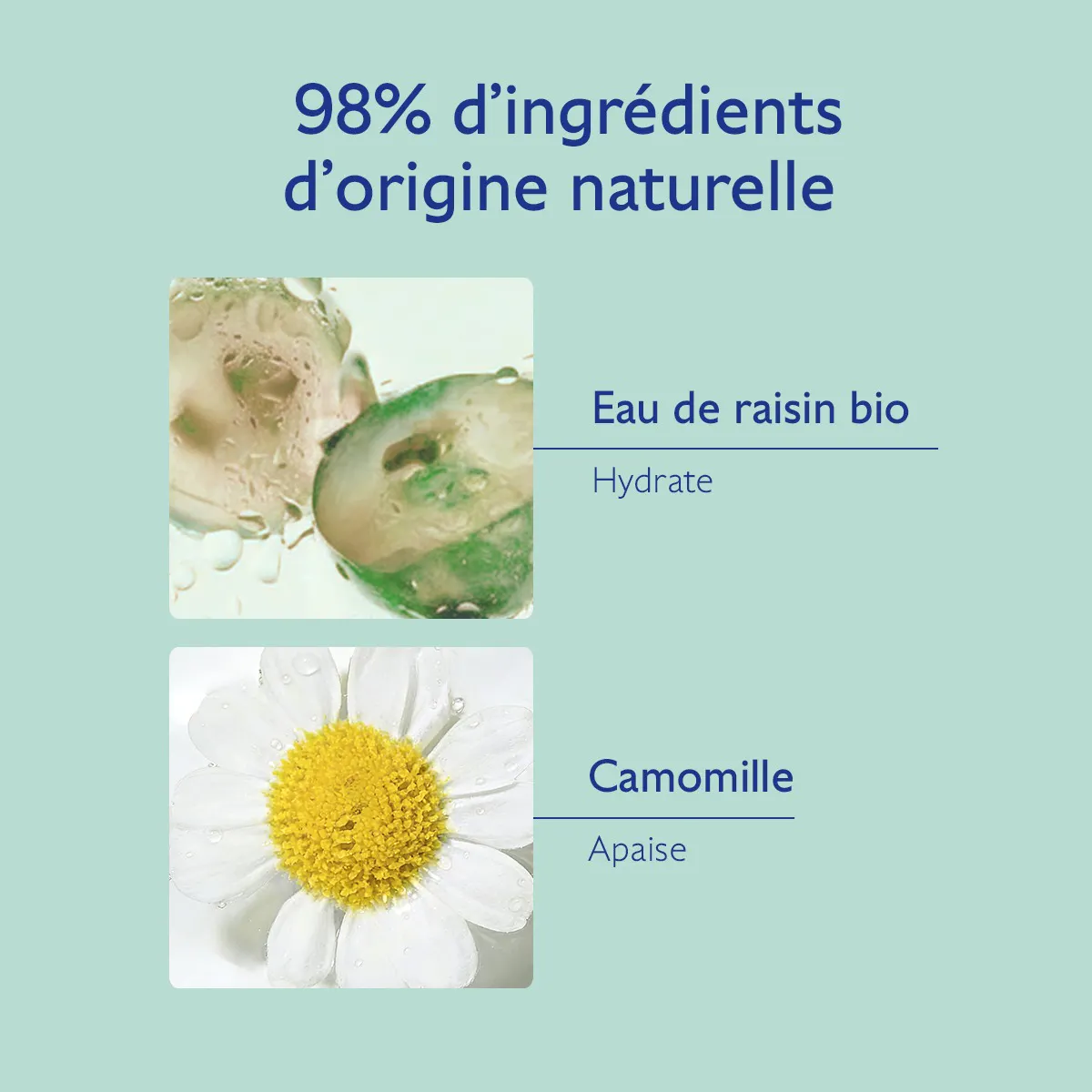 Eau de Raisin Micellaire Démaquillante - 400mL