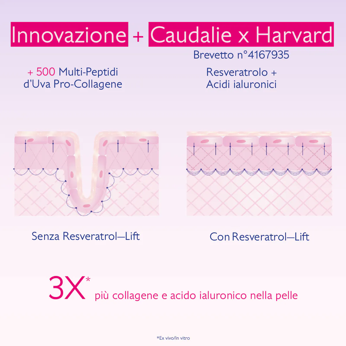 Resveratrol–Lift - Crema Cashmere Ridensificante - 5mL