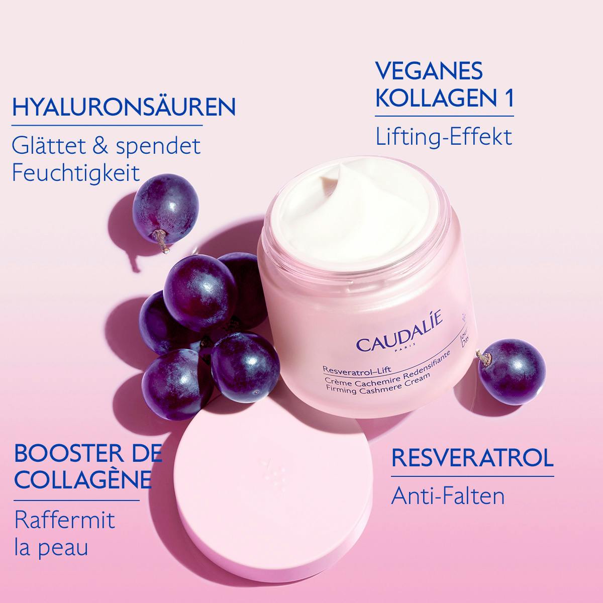 Hautverdichtende Kaschmir Creme mit Veganer Kollagen & Resveratrol