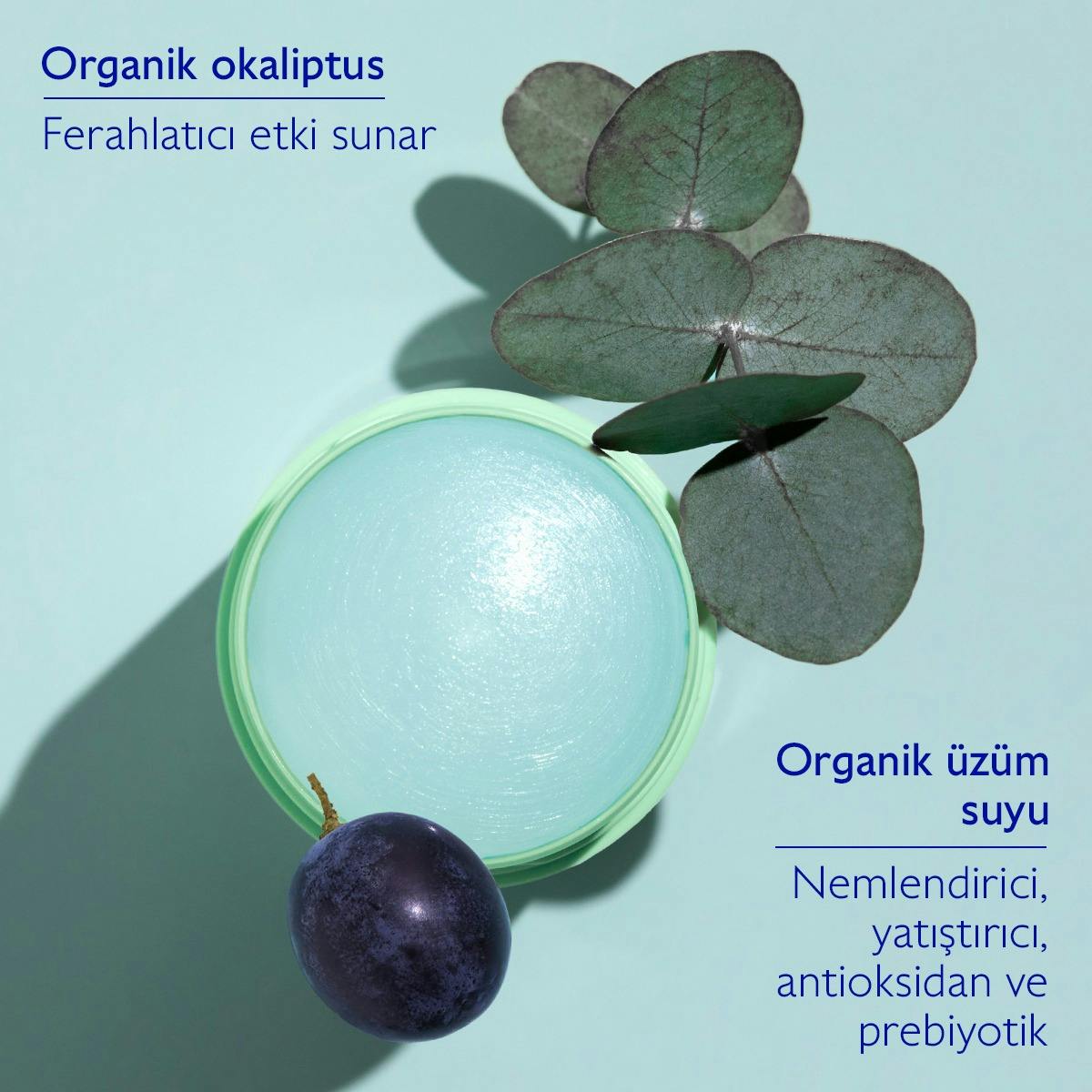 Vinofresh Doğal Stick Deodorant