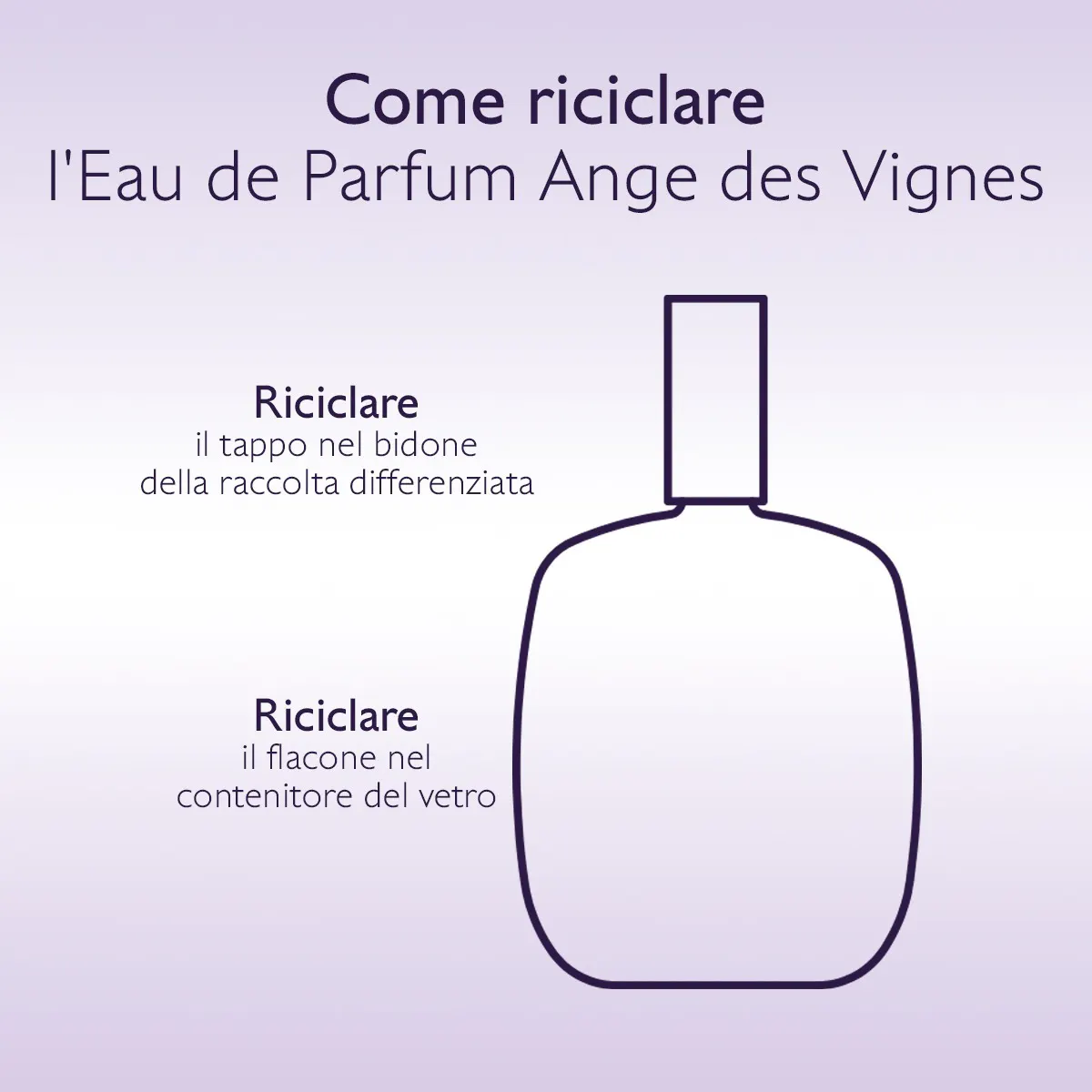 Eau de Parfum Ange des Vignes