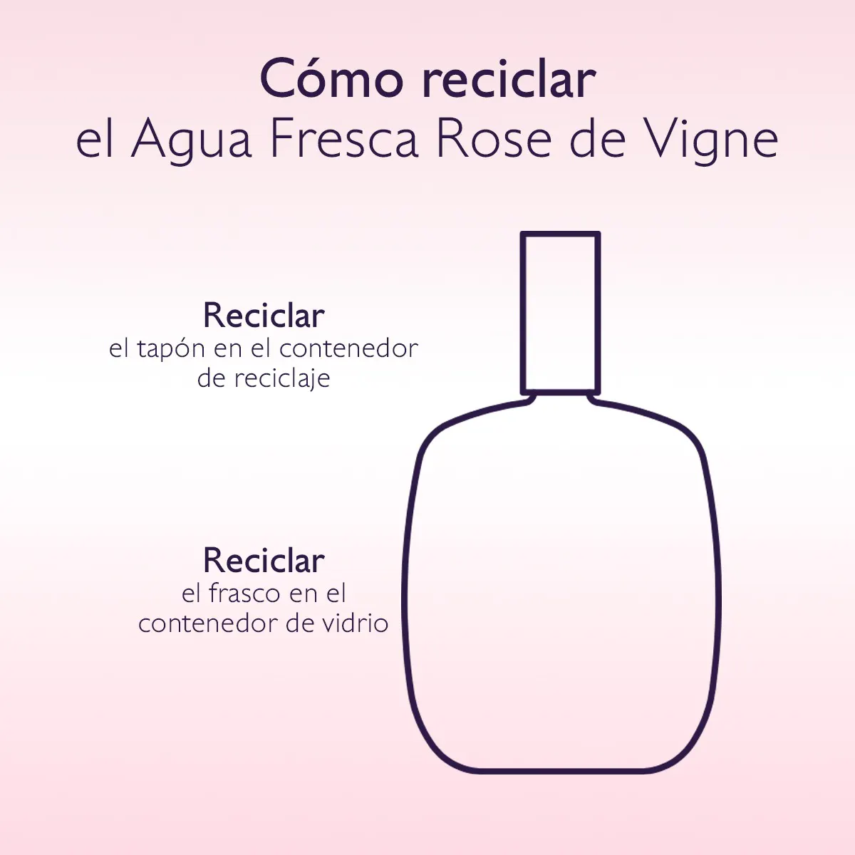 Agua Fresca Rose de Vigne