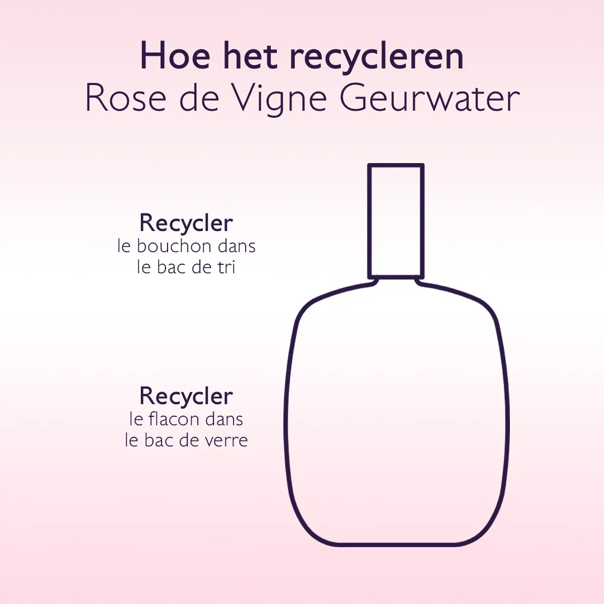 Eau Fraîche Rose de Vigne