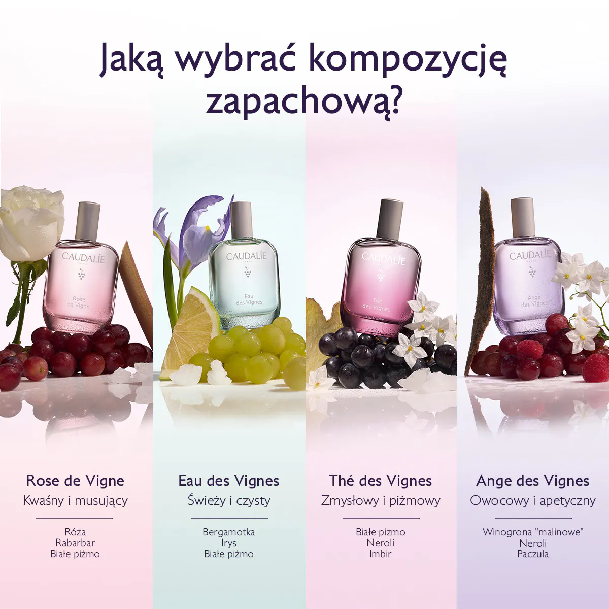 Orzeźwiająca Woda Thé des Vignes