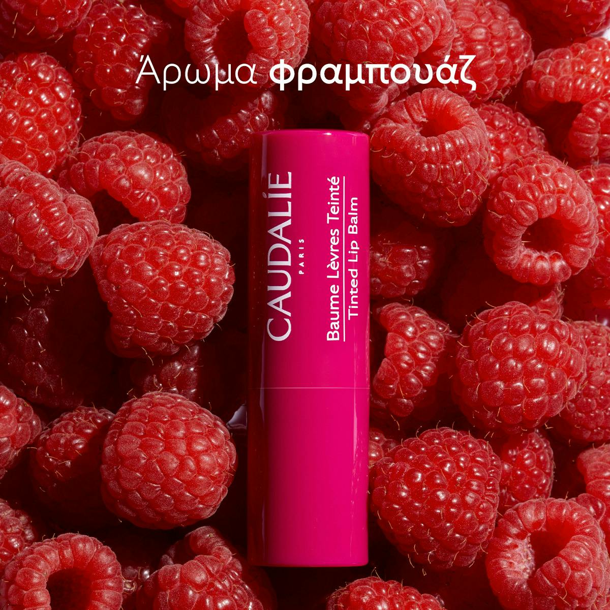 Tinted Lip Balm