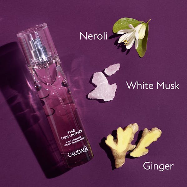 Gabriella | Perfect Women Fragrance 55 ml