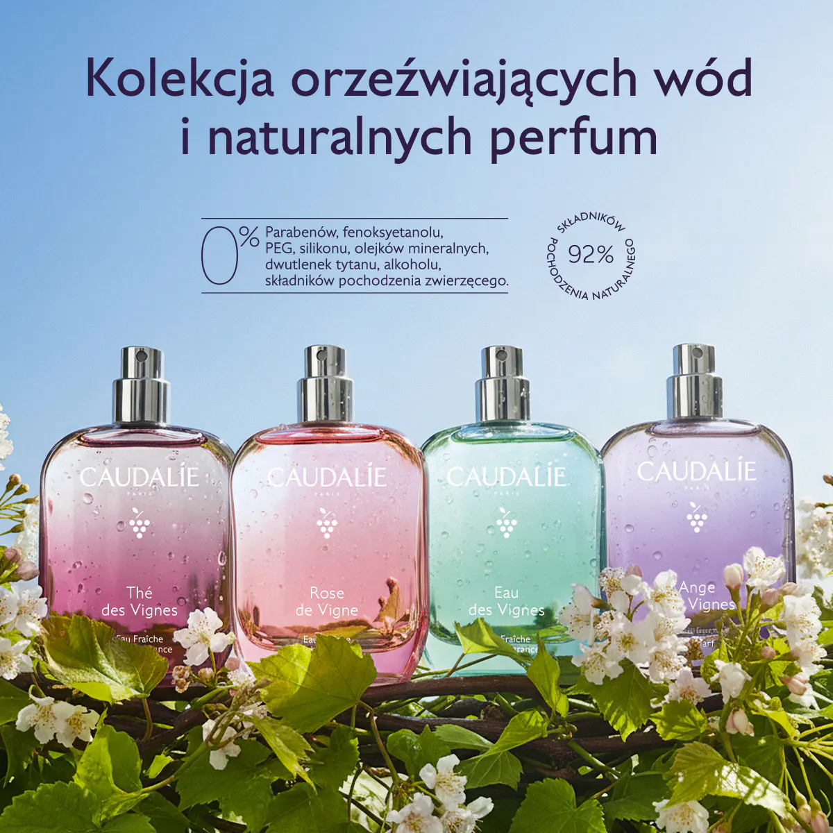 Orzeźwiająca Woda Eau des Vignes