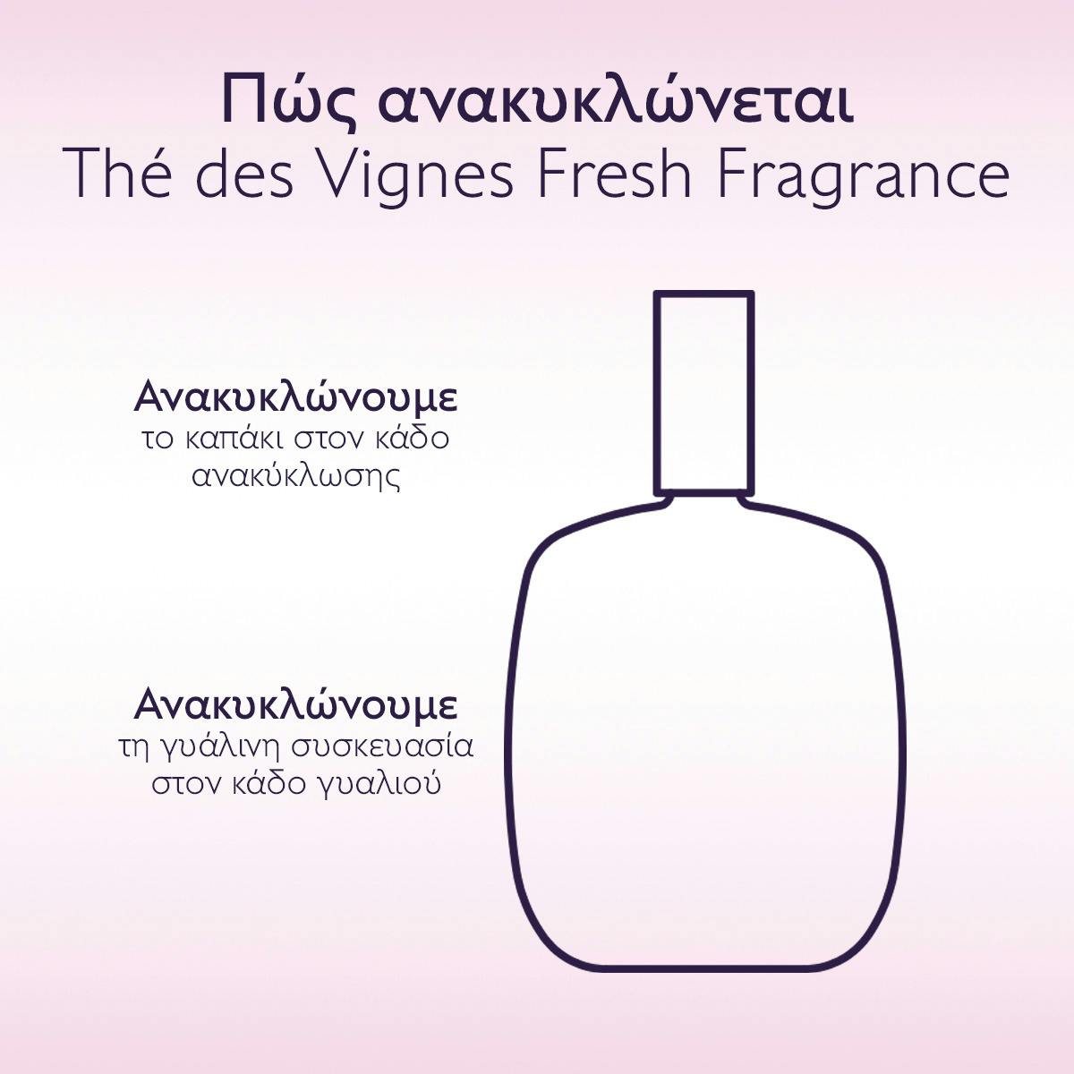Thé des Vignes Fresh Fragrance