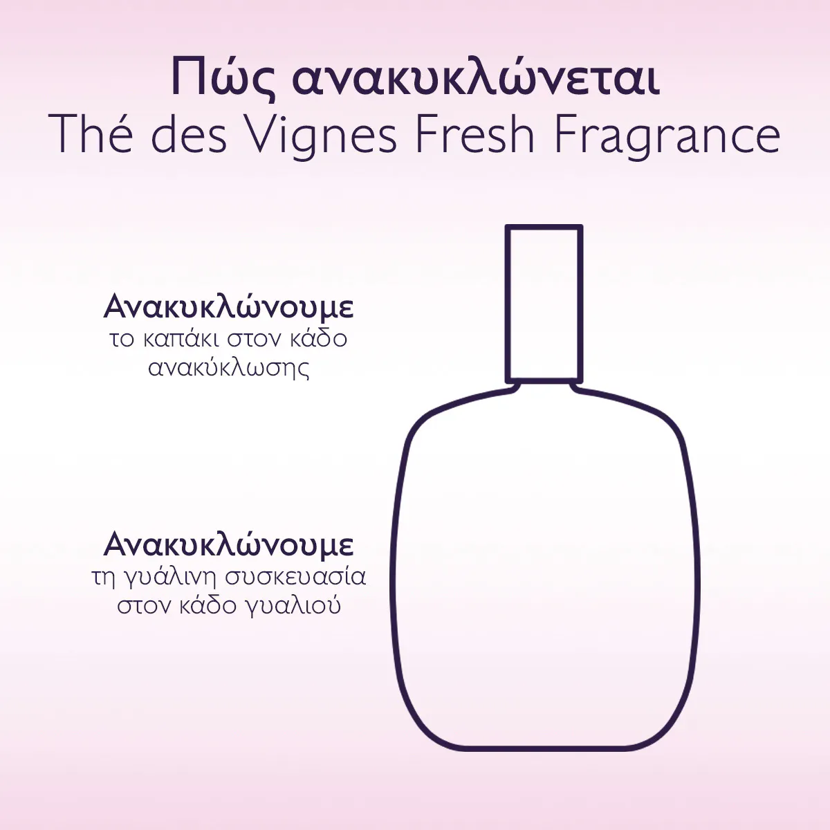 Thé des Vignes Fresh Fragrance