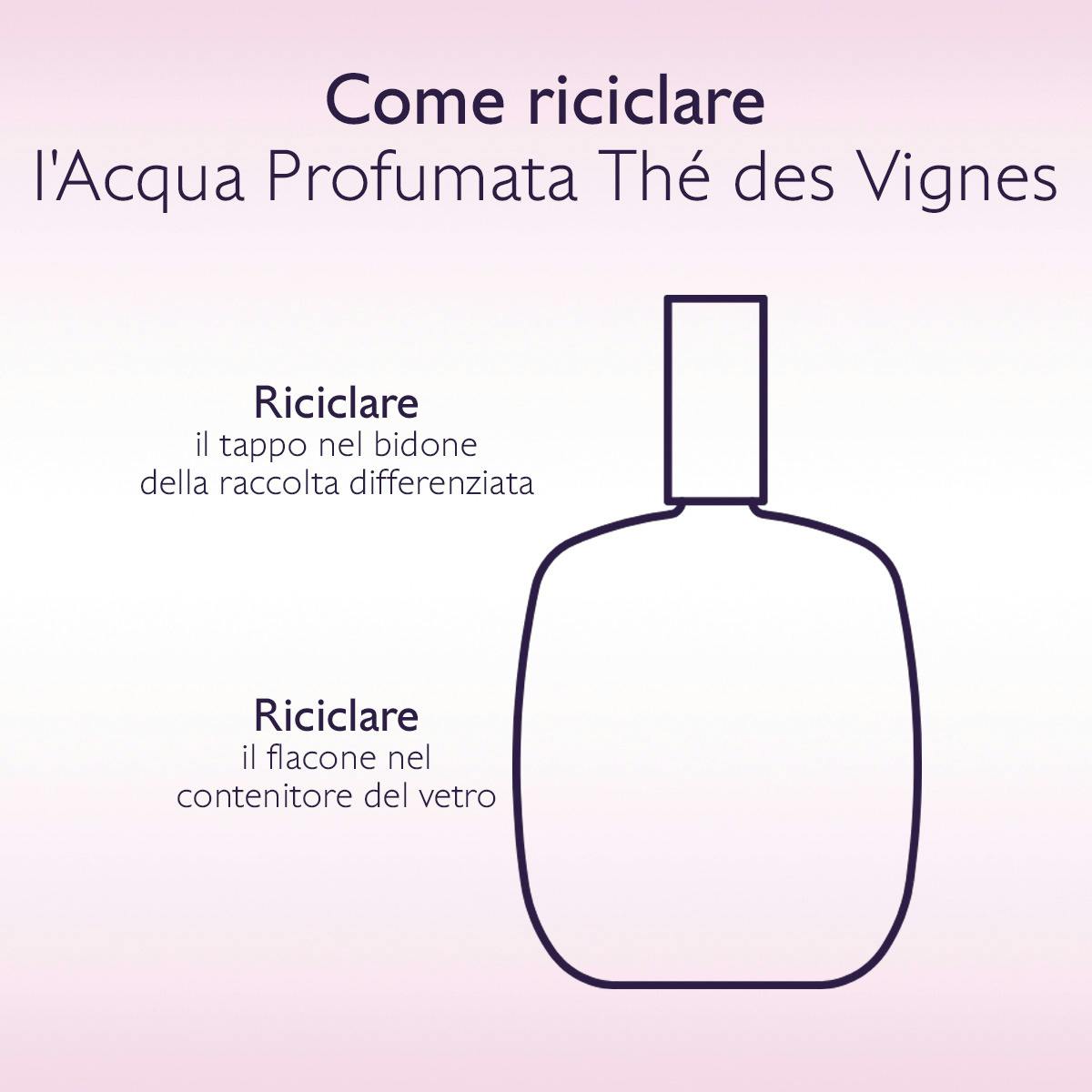 Acqua Profumata Thé des Vignes