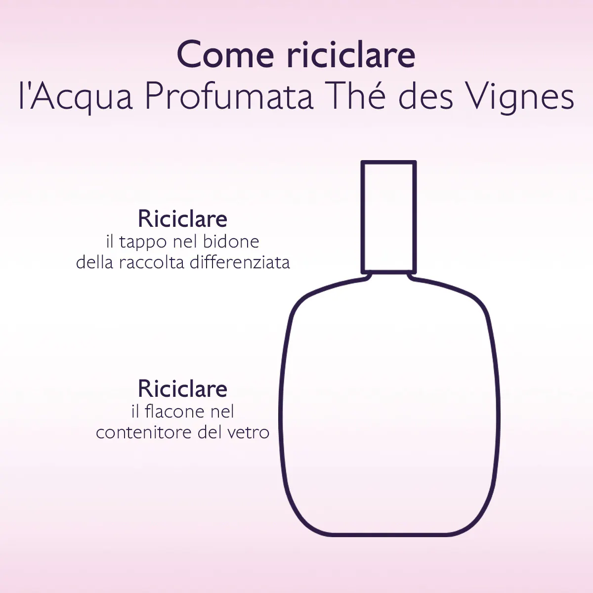 Acqua Profumata Thé des Vignes