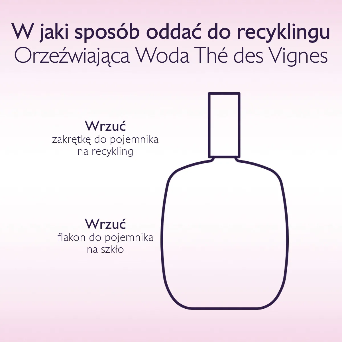 Orzeźwiająca Woda Thé des Vignes