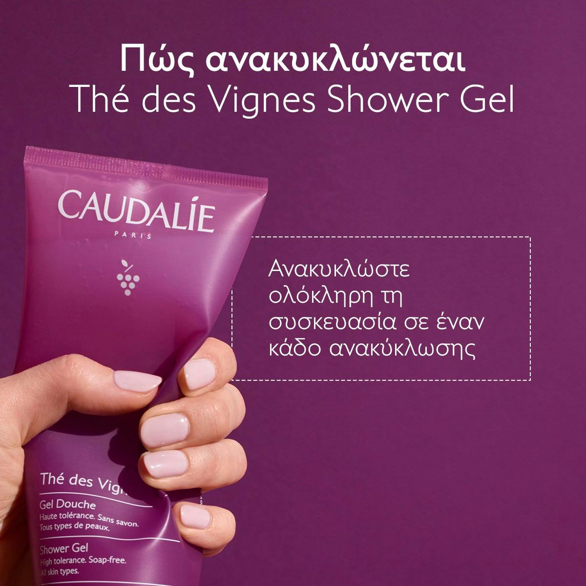 Thé des Vignes Shower Gel