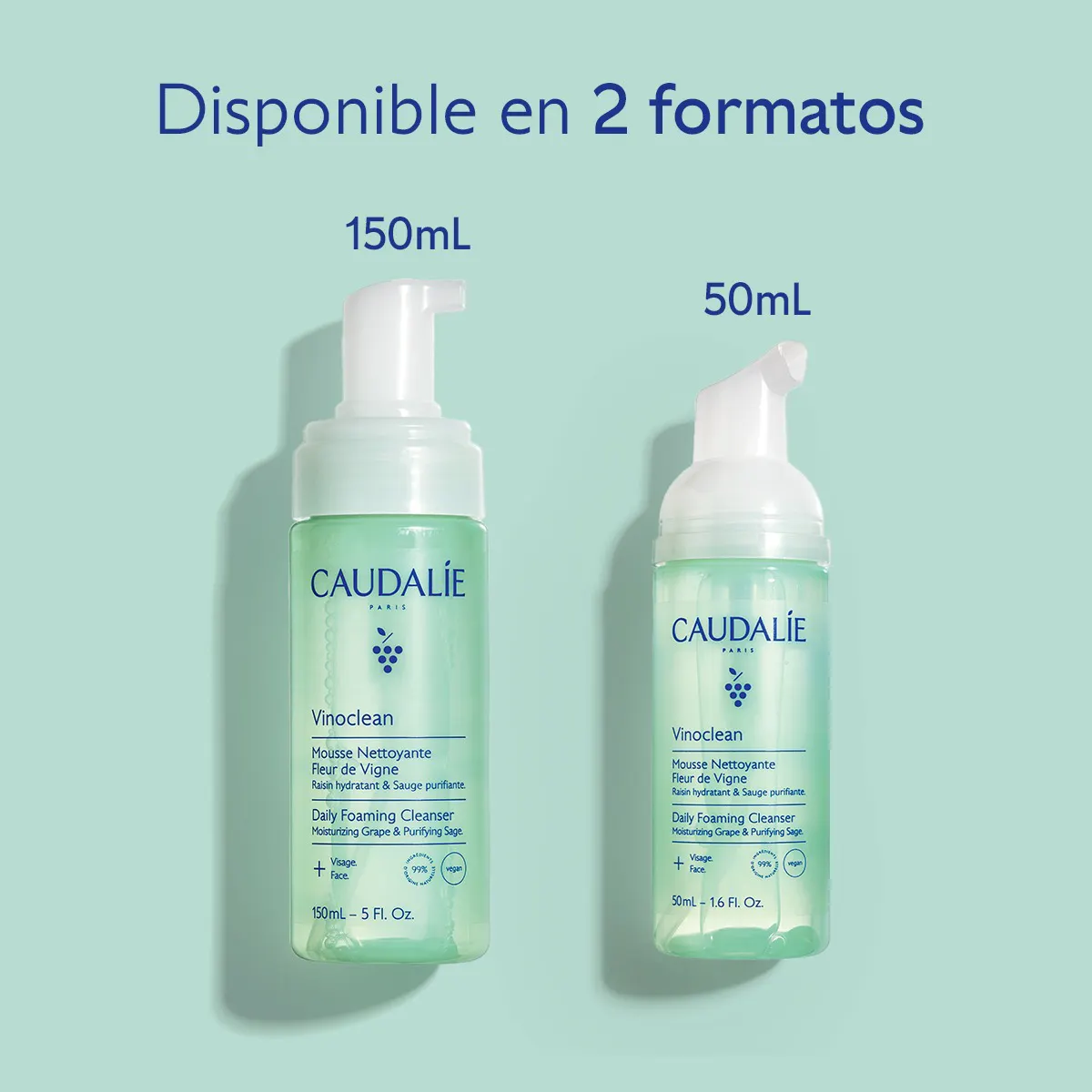 Espuma Limpiadora