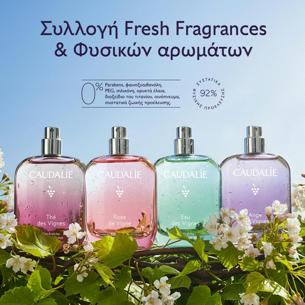 Thé des Vignes Fresh Fragrance