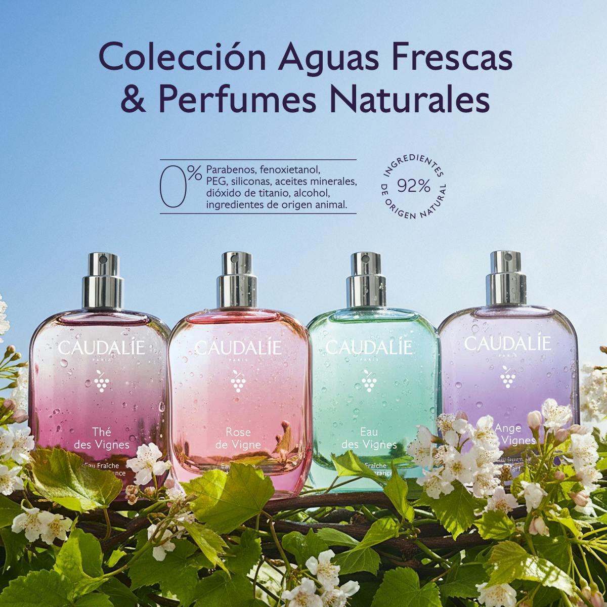 Agua Fresca Thé des Vignes - 50mL