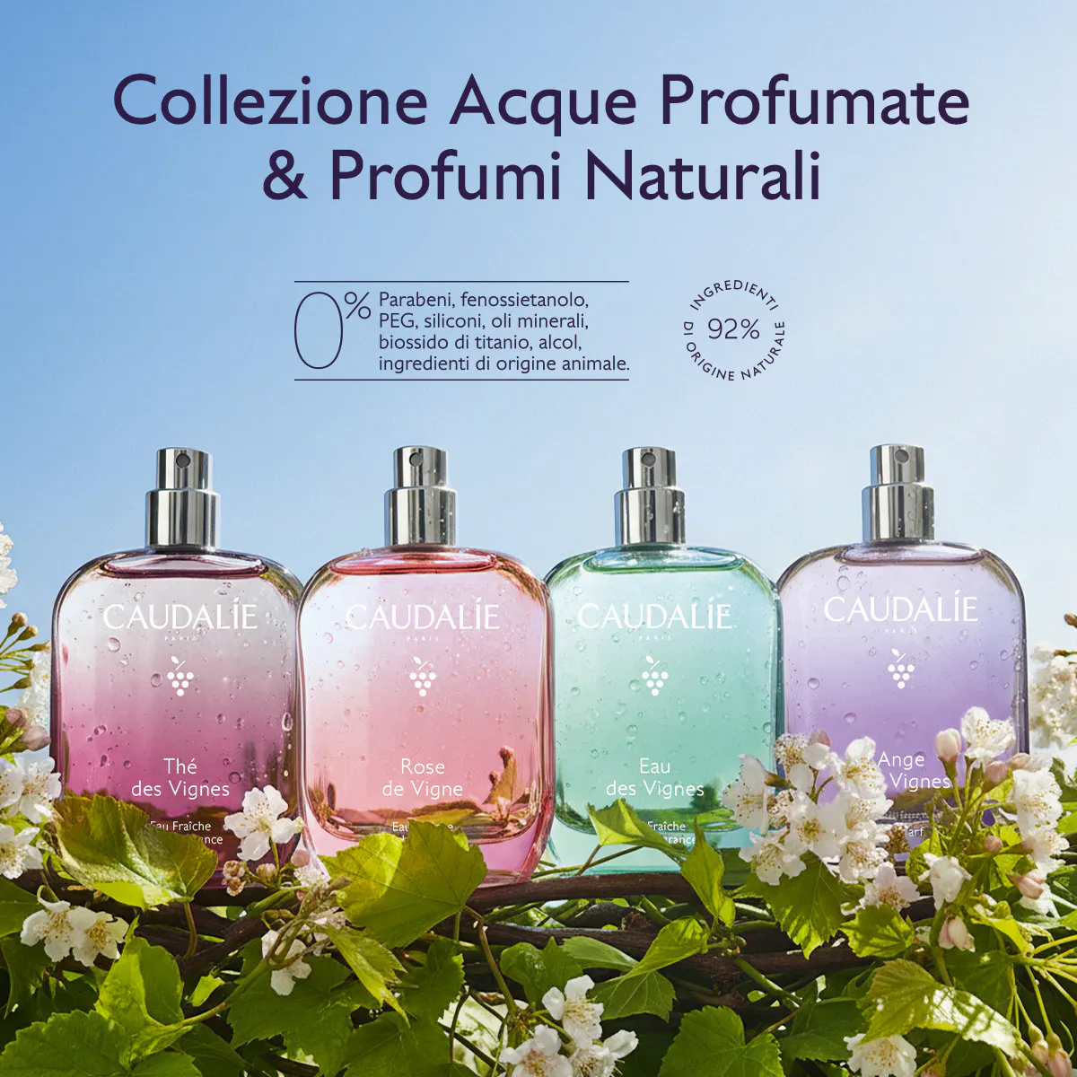 Acqua Profumata Thé des Vignes