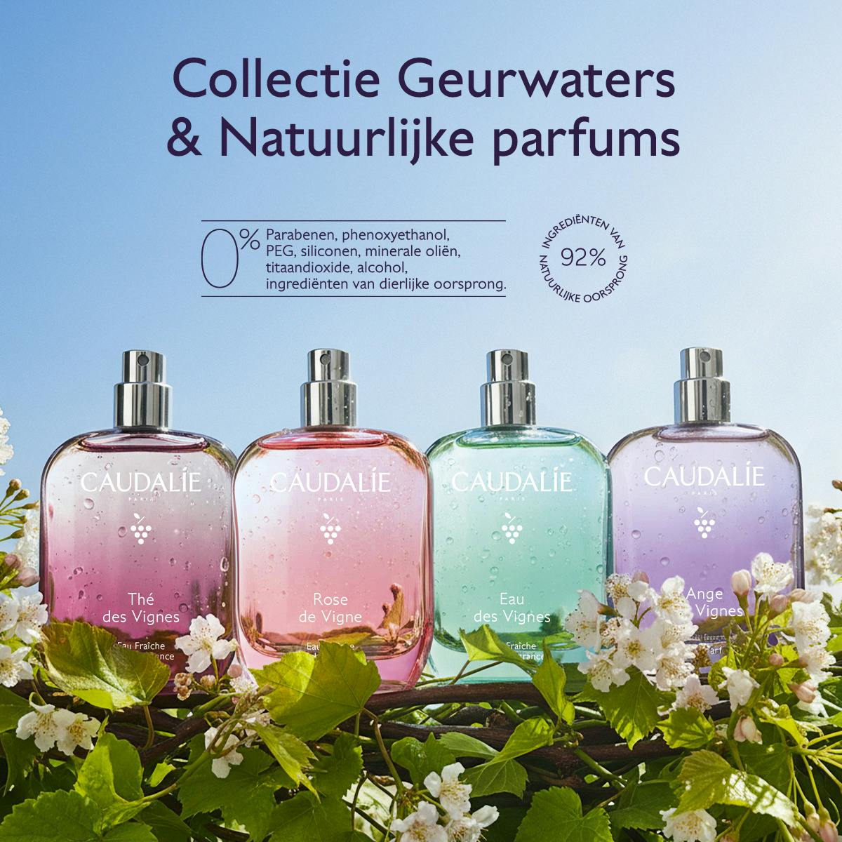 Thé des Vignes Geurwater - 50mL