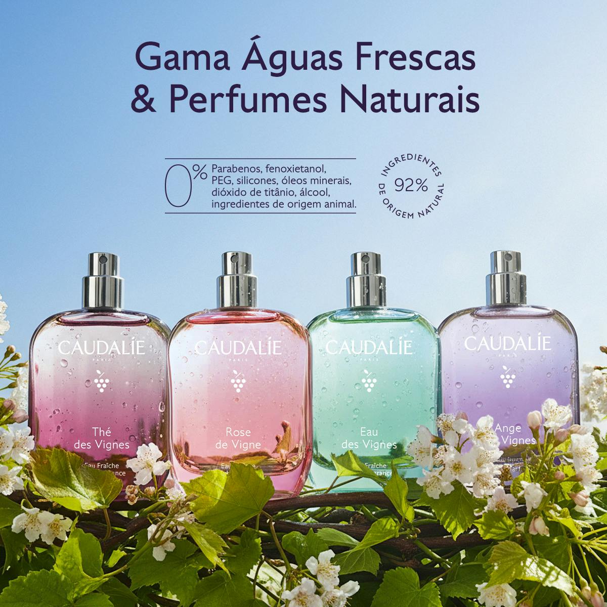 Água Fresca Thé des Vignes - 50mL