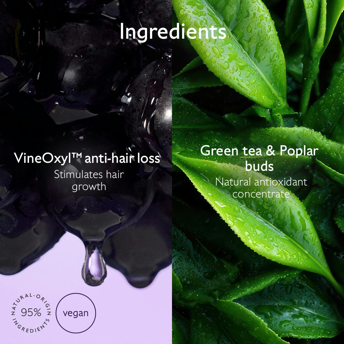 Density & Volume Shampoo