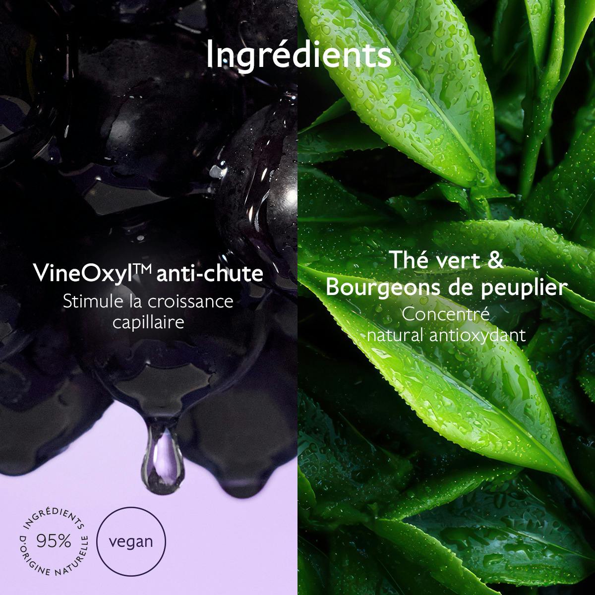 Shampoing Densité & Volume