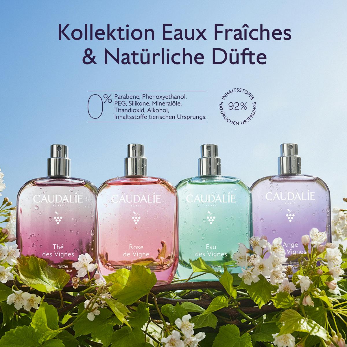 Eau Fraîche Thé des Vignes