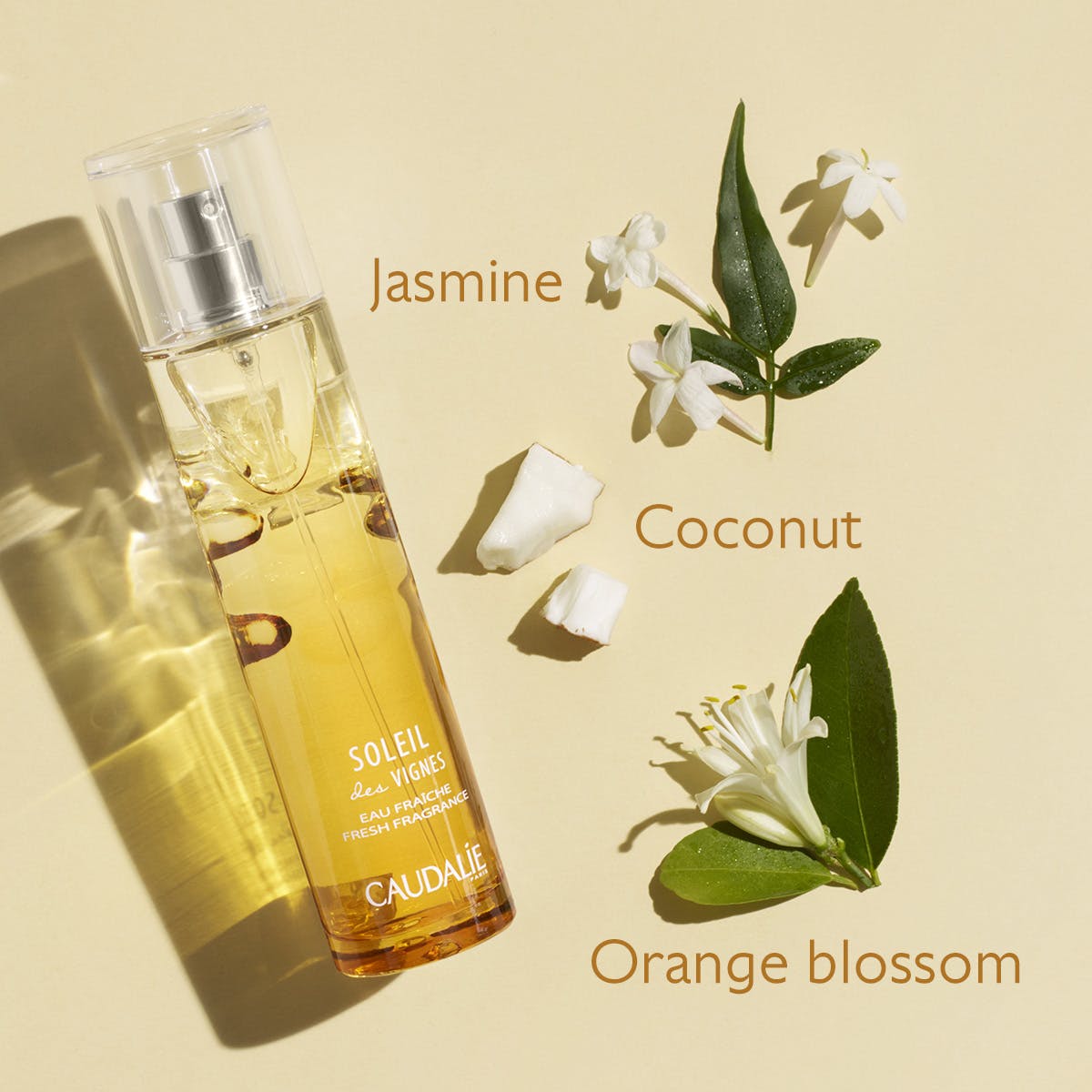 Jasmine and coconut perfume new arrivals