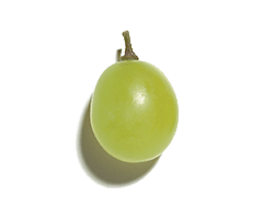 Yeşil üzüm