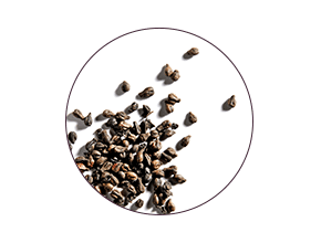 polyphenols