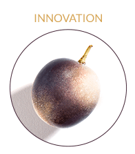 Vinergy