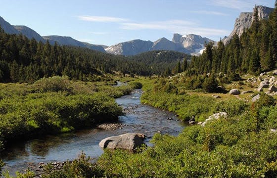 States of Minnesota, Montana, Wyoming and Washington